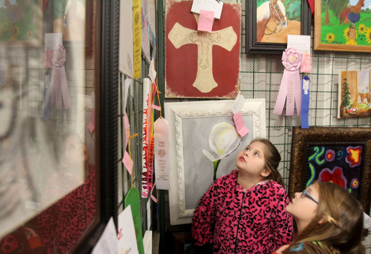 Coryell County Youth Fair